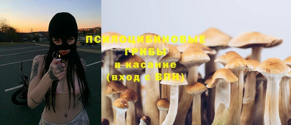дживик Покров
