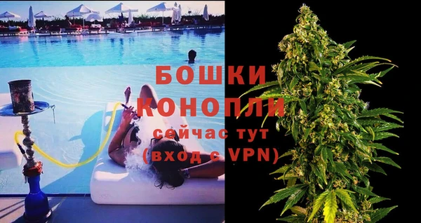 молекула духа Алексин