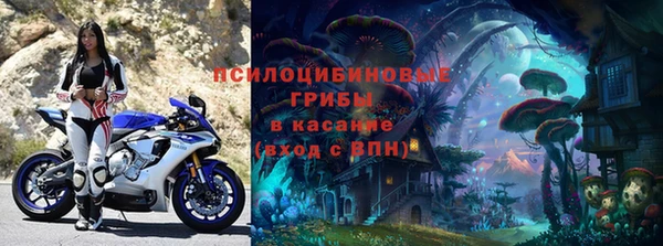 гидра Алзамай
