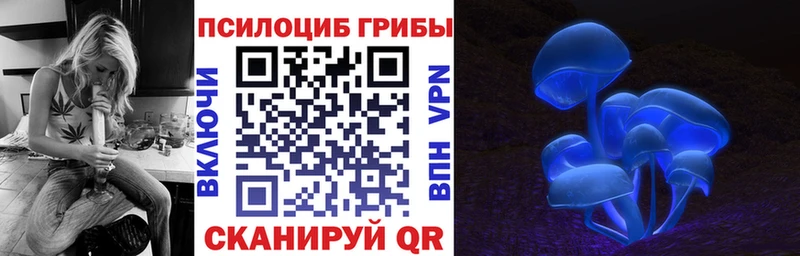 цены   Бобров  Галлюциногенные грибы мухоморы 