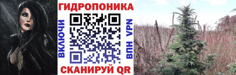 купить закладку  Бобров  блэк спрут tor  Канабис VHQ 